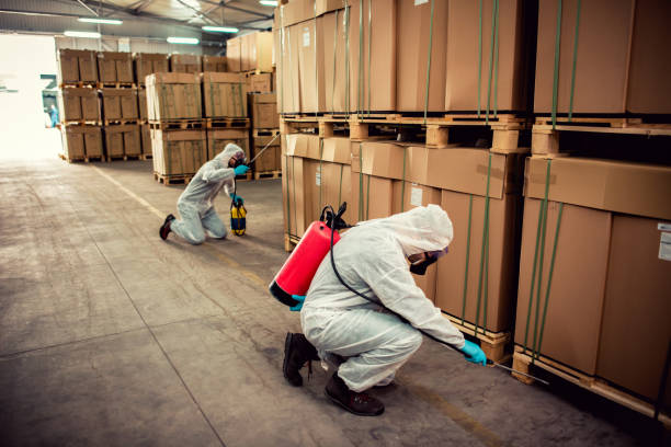 Best Wasp Removal Services  in Altadena, CA