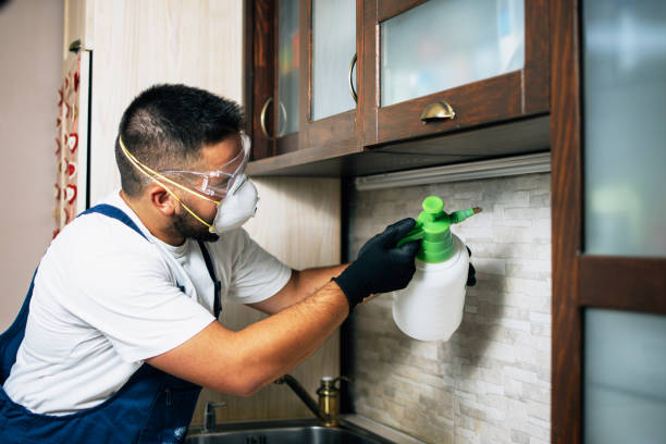 Best Pest Removal Services  in Altadena, CA