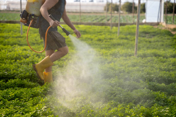 Pest Control for Restaurants in Altadena, CA