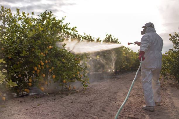 Best Pest Control for Restaurants  in Altadena, CA