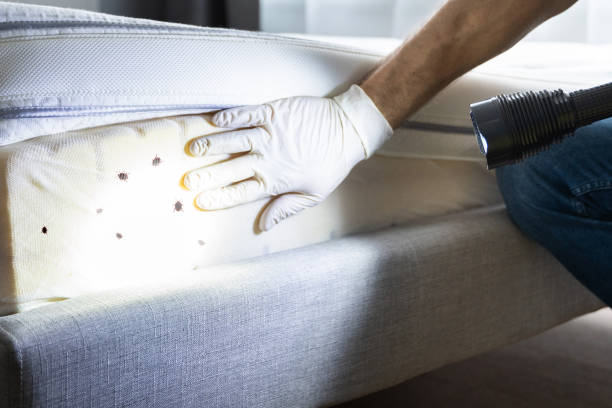 Best Commercial Pest Control Services  in Altadena, CA