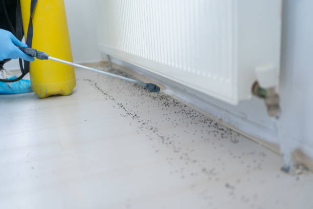 Best Pest Control for Homes  in Altadena, CA